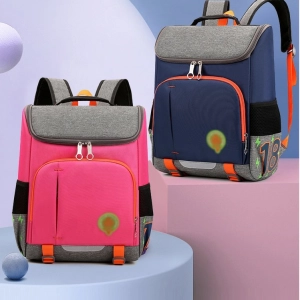 Elementor Premium Multi functional New Design  School Backpack